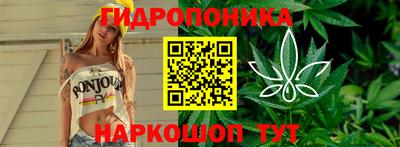 jwh Гусь-Хрустальный