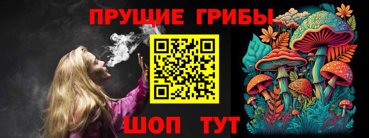 Галлюциногенные грибы GOLDEN TEACHER Котовск