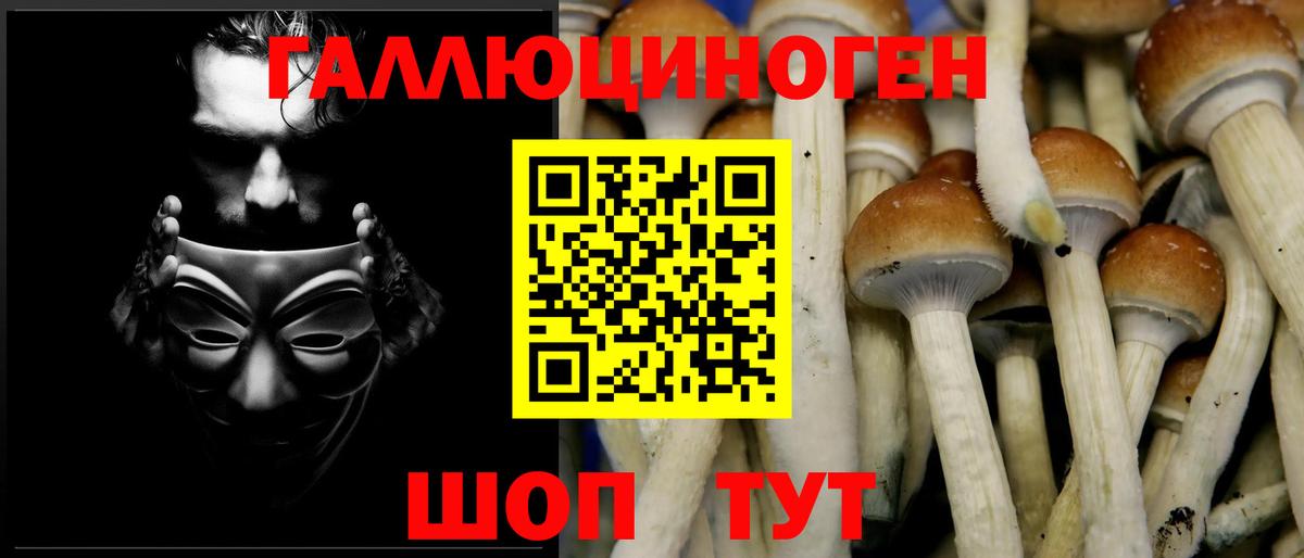 Псилоцибиновые грибы Cubensis  Вход с VPN  Котовск  Галлюциногенные грибы Psilocybe 
